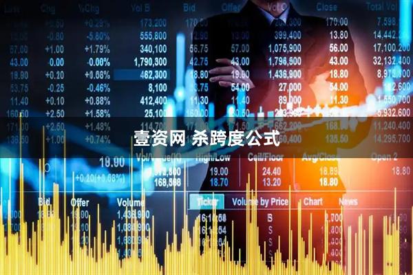 壹资网 杀跨度公式
