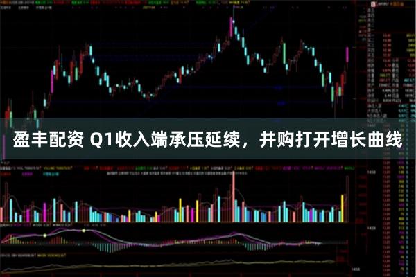 盈丰配资 Q1收入端承压延续，并购打开增长曲线