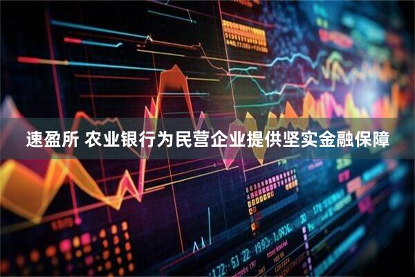 速盈所 农业银行为民营企业提供坚实金融保障